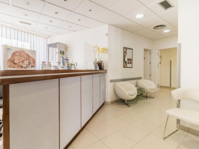 Comercial con 10 Dormitorios  en Nueva Andalucía