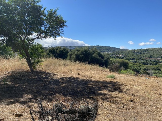  Parcelle à Sotogrande
