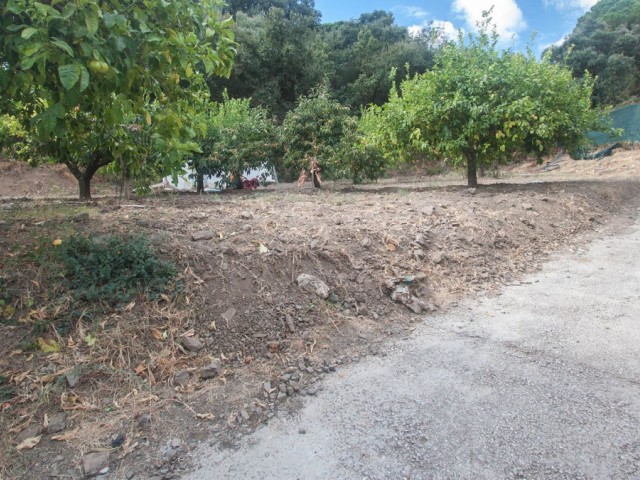 Villa avec 3 Chambres  à Estepona