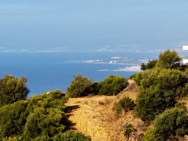 Apartamento con 3 Dormitorios  en Altos de los Monteros