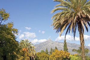 Marbella die grüne stadt