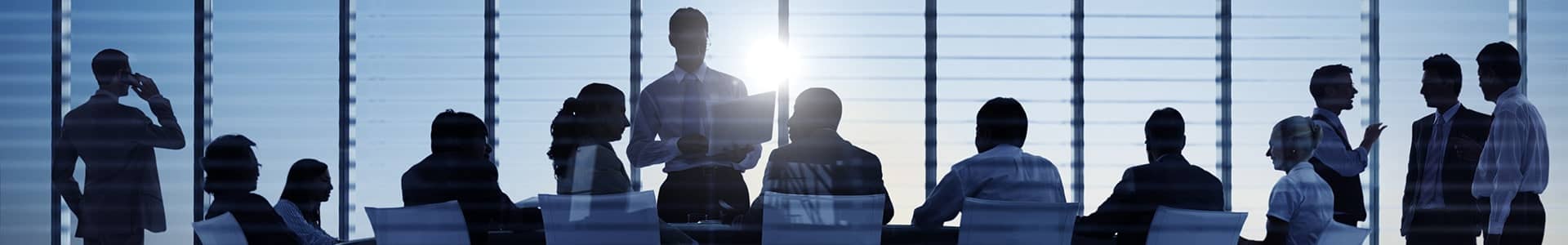 What, Why, When and Where of Distressed Property Sales in Spain