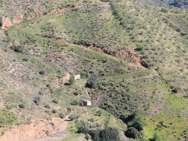  Grundstück in El Borge