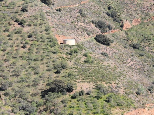  Grundstück in El Borge