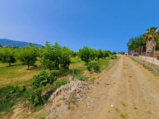 1 Schlafzimmer Villa in Las Lagunas