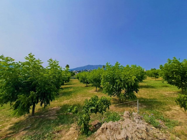 Villa avec 1 Chambres  à Las Lagunas