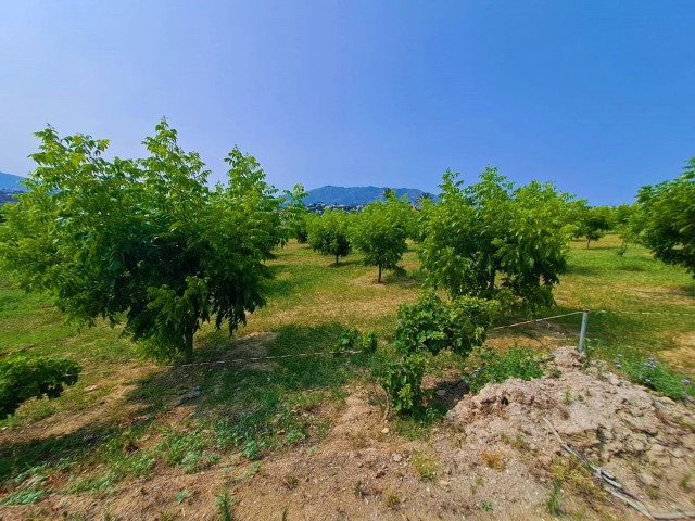 Villa avec 1 Chambres  à Las Lagunas