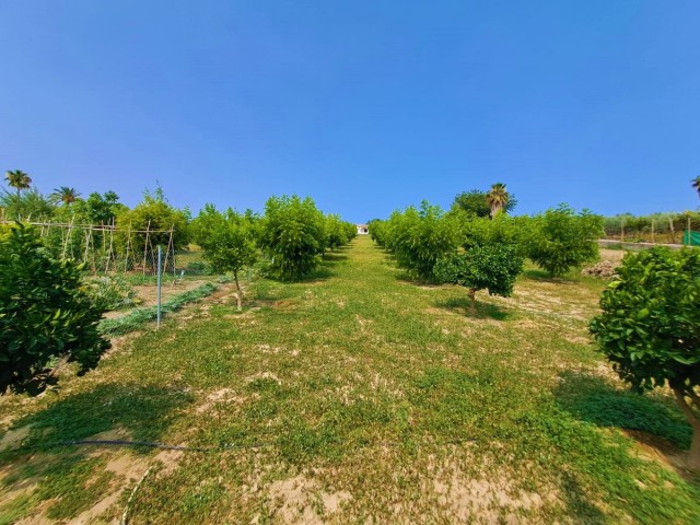 Villa avec 1 Chambres  à Las Lagunas