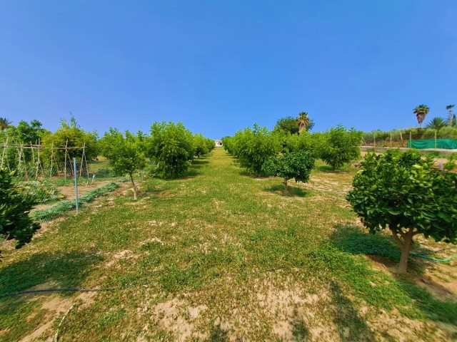 1 Bedrooms Villa in Las Lagunas