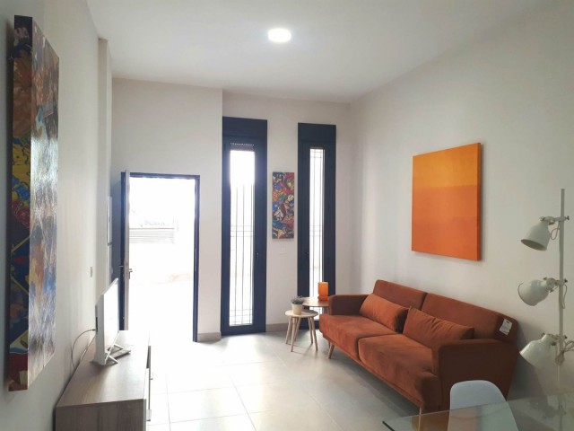 1 Bedrooms Apartment in Málaga Centro