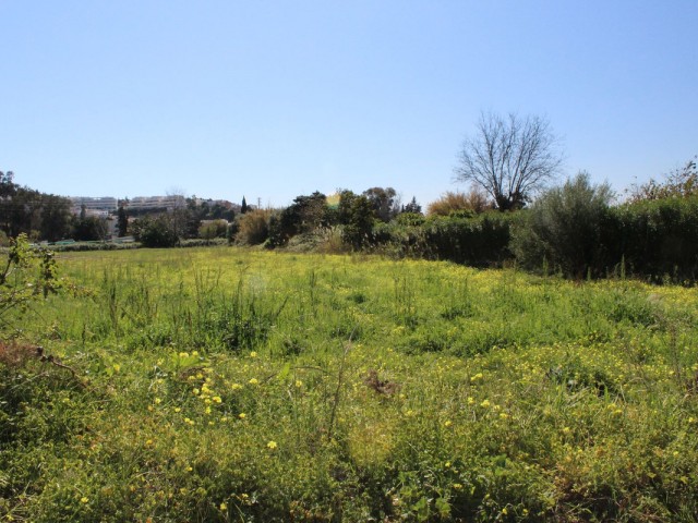  Grundstück in San Enrique
