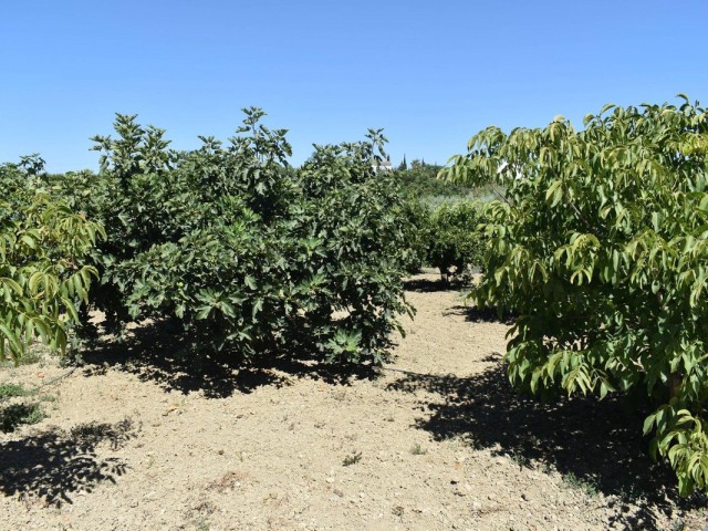 2 Schlafzimmer Villa in Alhaurín el Grande