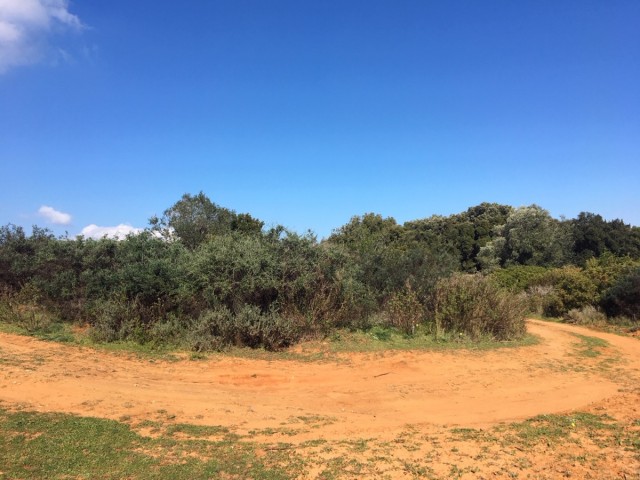 Terreno Manilva - R3568339
