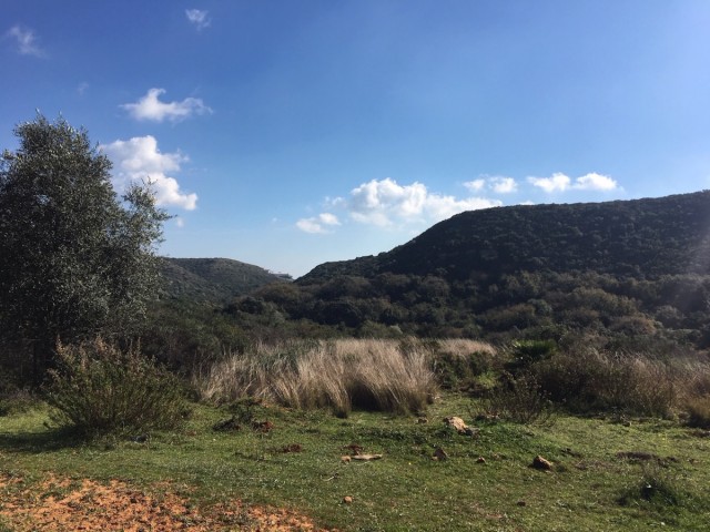  Terreno en Manilva