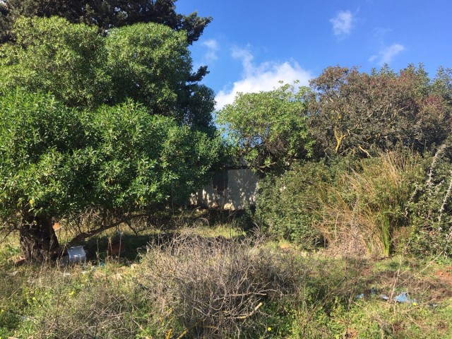  Terreno en Manilva