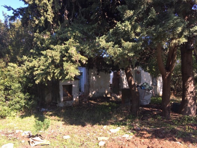  Terreno en Manilva