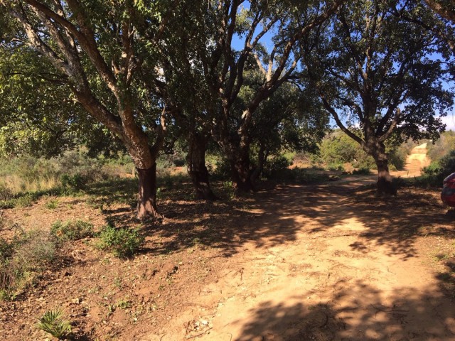 Terreno en Manilva
