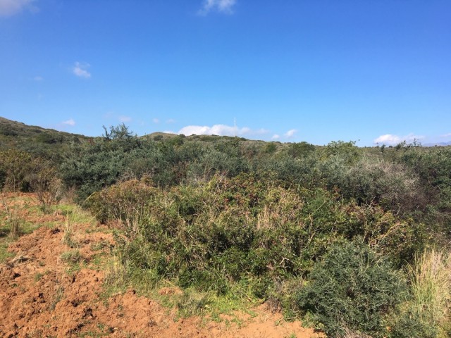  Terreno en Manilva