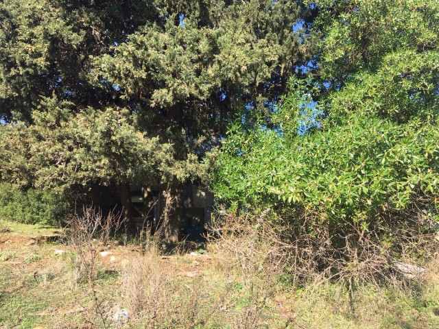  Terreno en Manilva