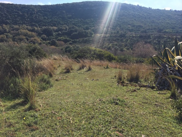  Terreno en Manilva