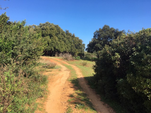  Terreno en Manilva