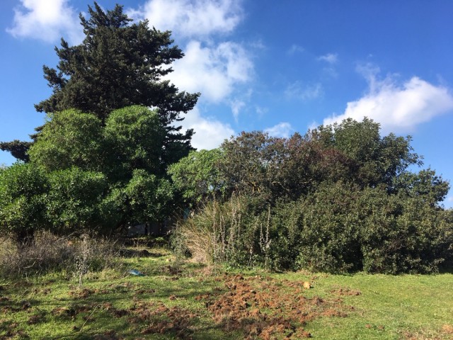  Terreno en Manilva