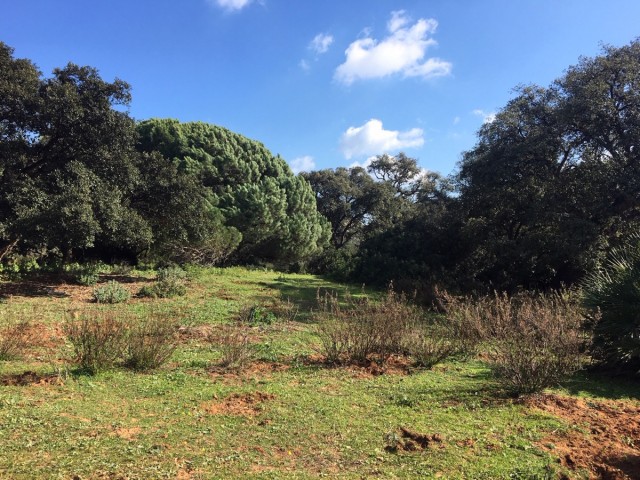  Terreno en Manilva