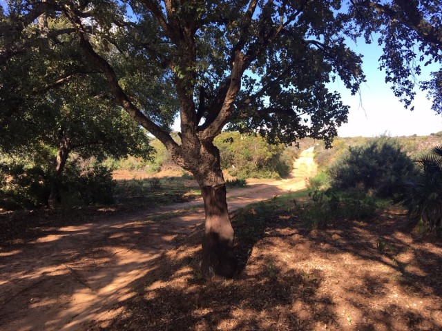  Terreno en Manilva