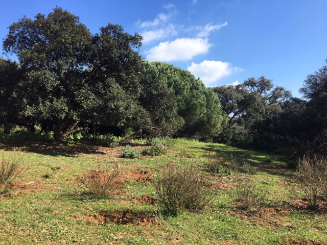  Terreno en Manilva