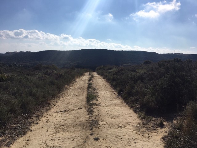  Terreno en Manilva