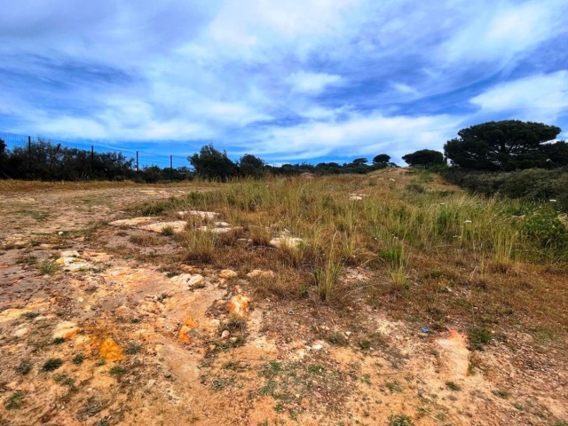 Terreno, San Roque, R4442104