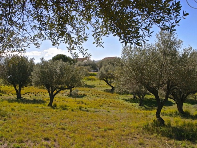 4 Bedrooms Villa in Elviria