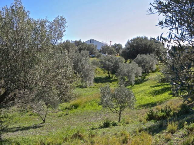 4 Bedrooms Villa in Elviria