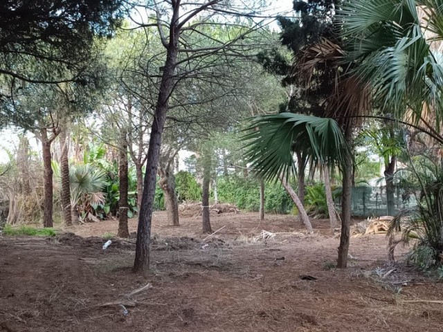  Grundstück in Hacienda Las Chapas