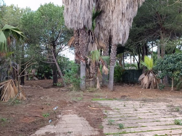  Tontti Hacienda Las Chapas