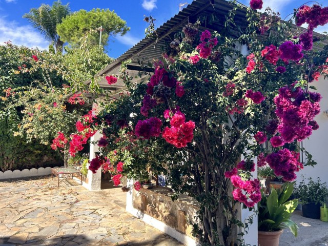 3 Slaapkamer Villa in New Golden Mile