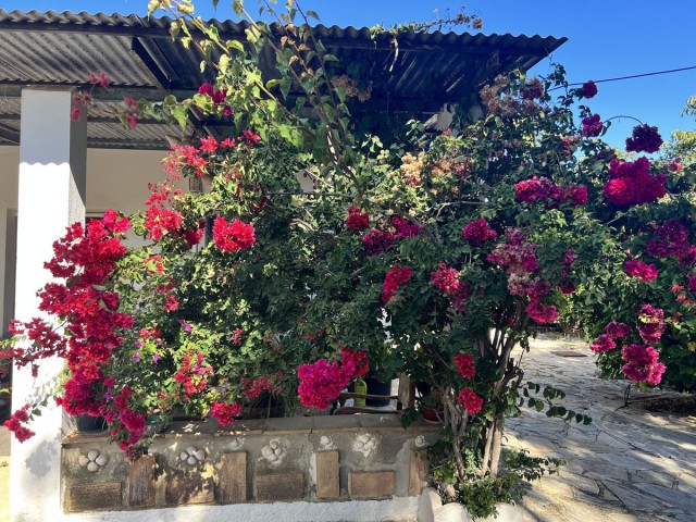 3 Slaapkamer Villa in New Golden Mile