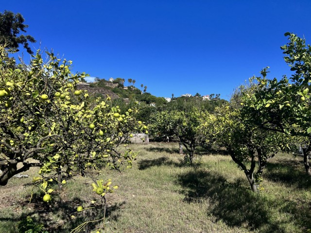 3 Slaapkamer Villa in New Golden Mile