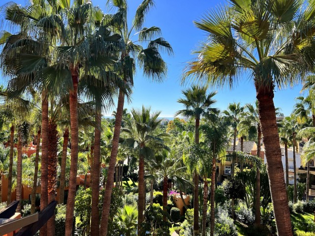 3 Slaapkamer Appartement in Nueva Andalucía