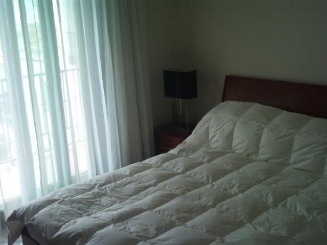 Penthouse in La Duquesa