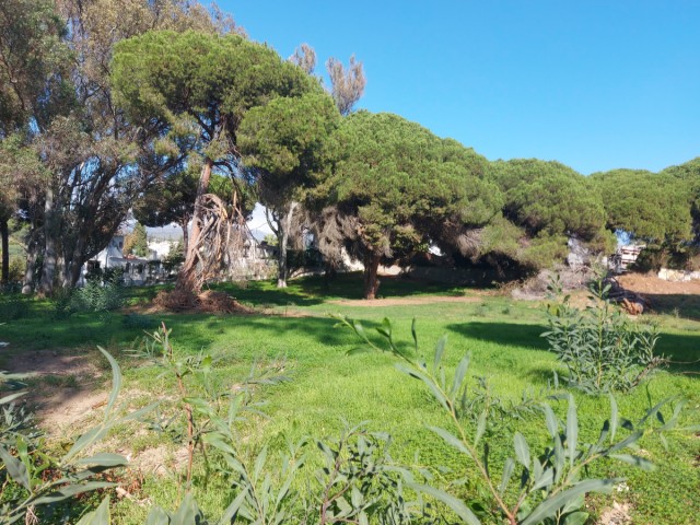  Tomt i Elviria