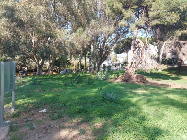  Tomt i Elviria