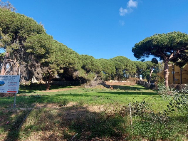  Tomt i Elviria