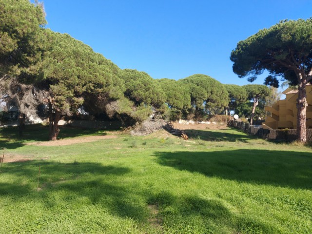 Plot Elviria - R3753034