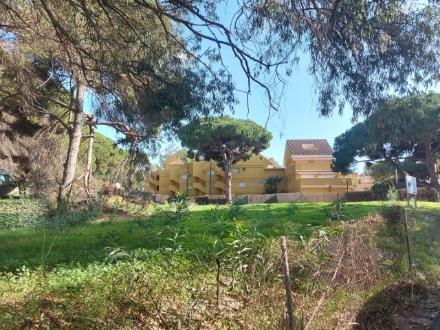  Plot in Elviria