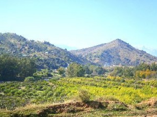 Commercieel in Coín