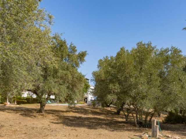 17 Bedrooms Villa in Torremolinos