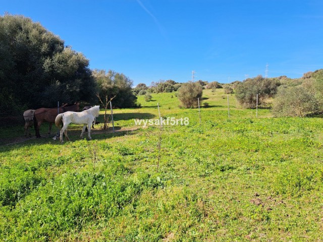 Terreno en San Roque