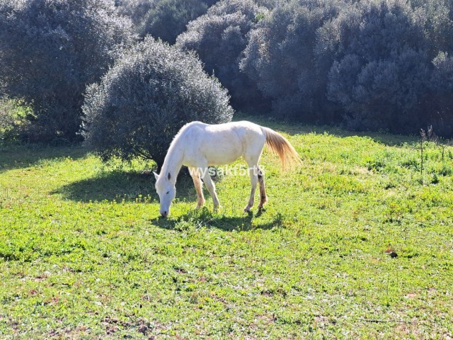  Terreno en San Roque