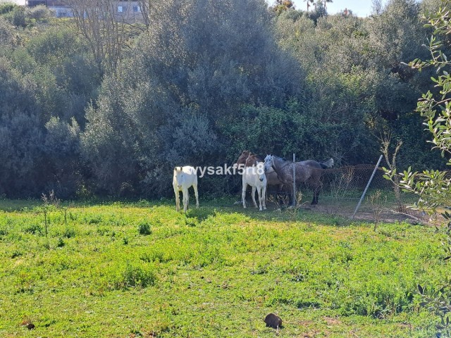  Terreno en San Roque